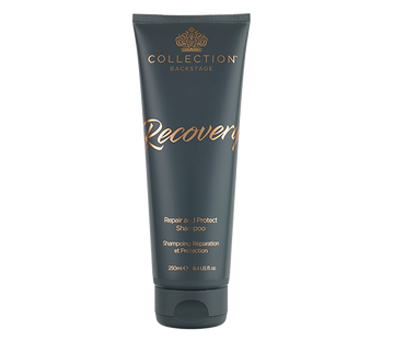 Collection Recovery Shampoo